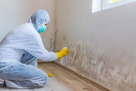 Why You Should Choose Our Mold Remediation Services in Barron, WI